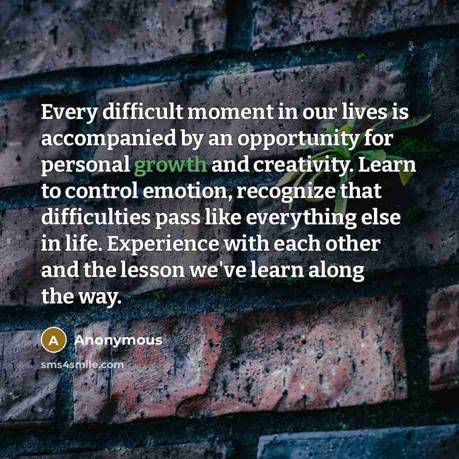 “Every difficult moment in our lives is accompanied by an opportunity for personal growth and creativity. Learn to control emotion, recognize that difficulties pass like everything else in life. Experience with each other and the lesson we've learn along the way.” quote by Anonymous