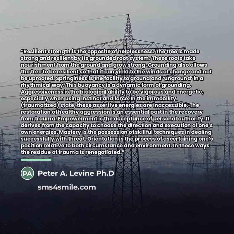 “Resilient strength is the opposite of helplessness. The tree is made strong and resilient by its grounded root system. These roots take nourishment from the ground and grow strong. Grounding also allows the tree to be resilient so that it can yield to the winds of change and not be uprooted…” quote by Peter A. Levine Ph.D