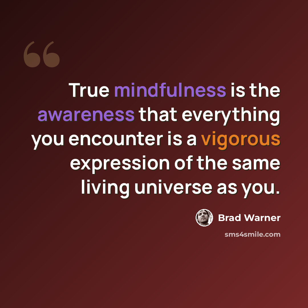 “True mindfulness is the awareness that everything you encounter is a vigorous expression of the same living universe as you.” quote by Brad Warner