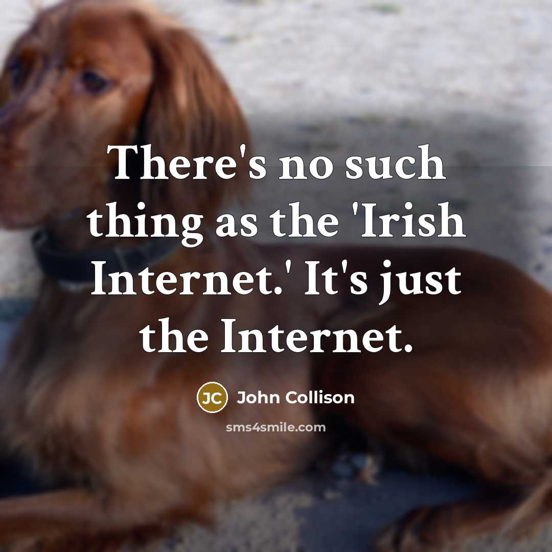 “There's no such thing as the 'Irish Internet.' It's just the Internet.” quote by John Collison