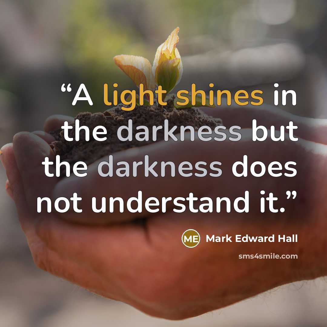 “A light shines in the darkness but the darkness does not understand it.” quote by Mark Edward Hall