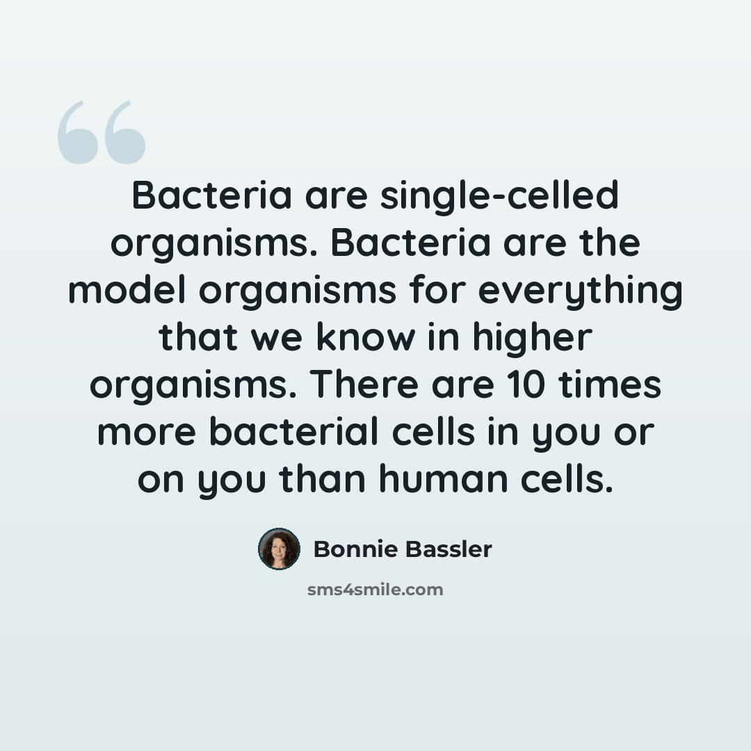 “Bacteria are single-celled organisms. Bacteria are the model organisms for everything that we know in higher organisms. There are 10 times more bacterial cells in you or on you than human cells.” quote by Bonnie Bassler