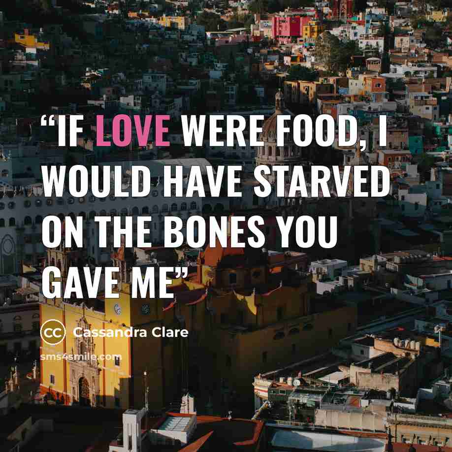 “If love were food, I would have starved on the bones you gave me” quote by Cassandra Clare