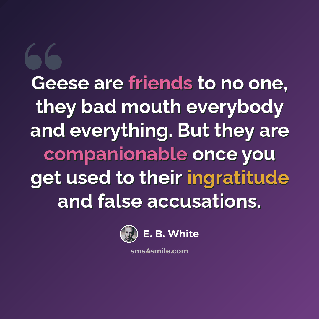 “Geese are friends to no one, they bad mouth everybody and everything. But they are companionable once you get used to their ingratitude and false accusations.” quote by E. B. White