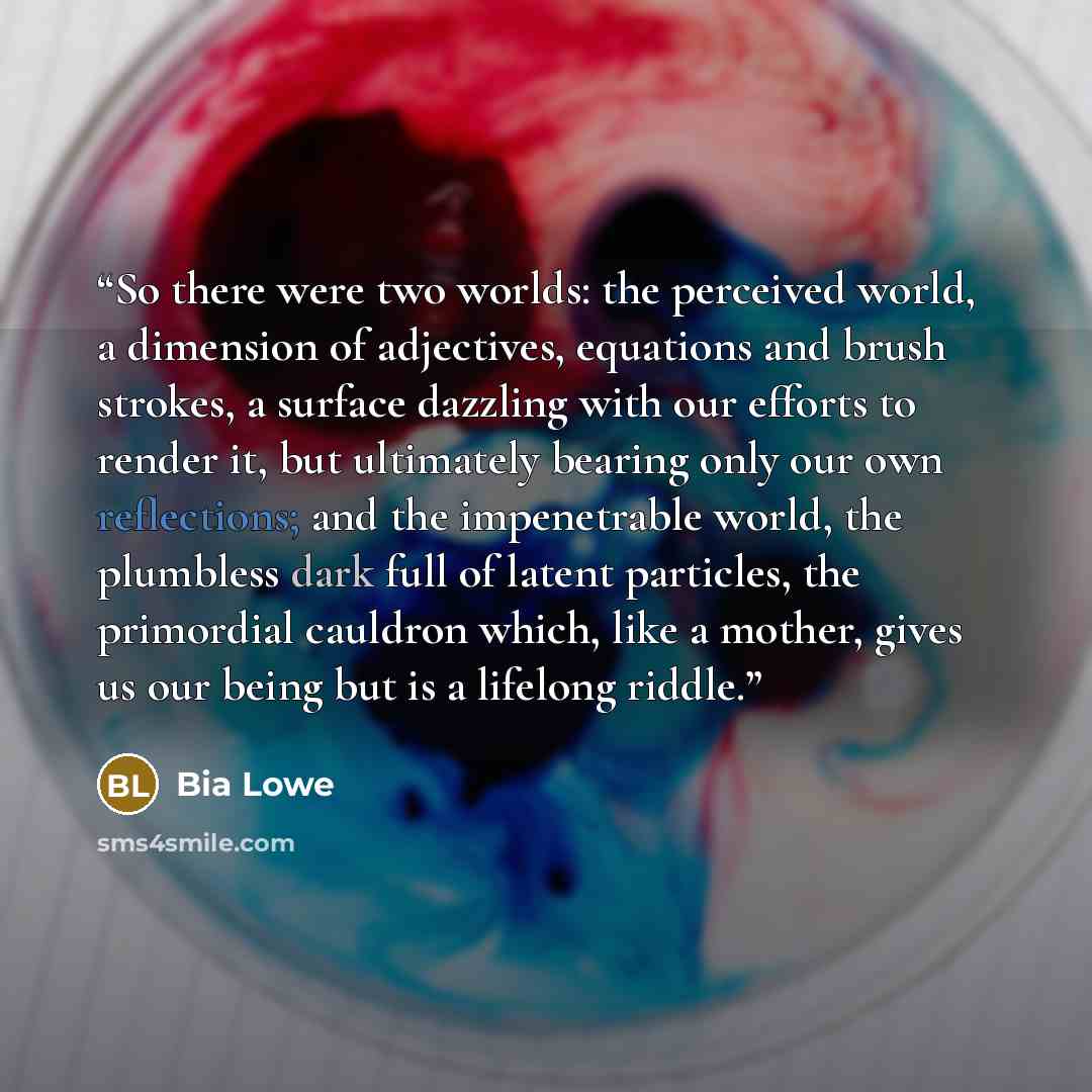 “So there were two worlds: the perceived world, a dimension of adjectives, equations and brush strokes, a surface dazzling with our efforts to render it, but ultimately bearing only our own reflections; and the impenetrable world, the plumbless dark full of latent particles, the primordial cauldron…” quote by Bia Lowe