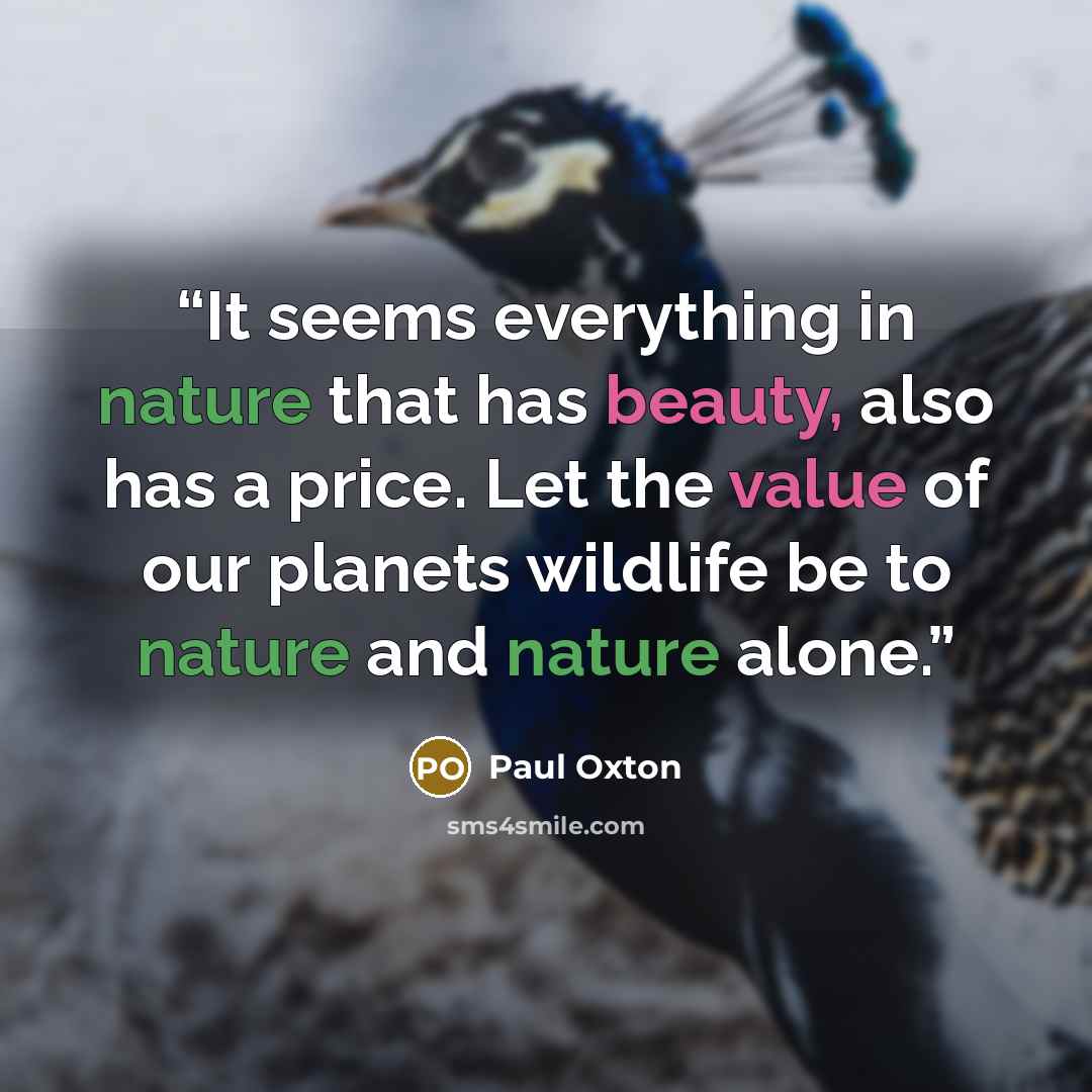 “It seems everything in nature that has beauty, also has a price. Let the value of our planets wildlife be to nature and nature alone.” quote by Paul Oxton