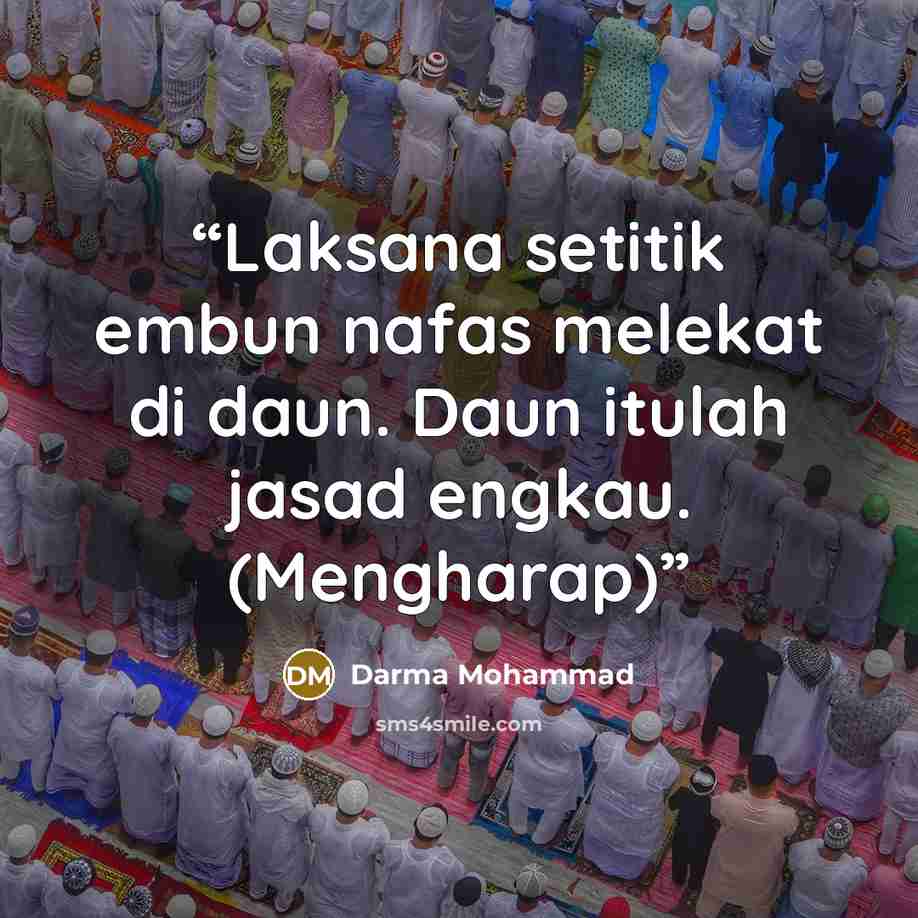 “Laksana setitik embun nafas melekat di daun. Daun itulah jasad engkau. (Mengharap)” quote by Darma Mohammad