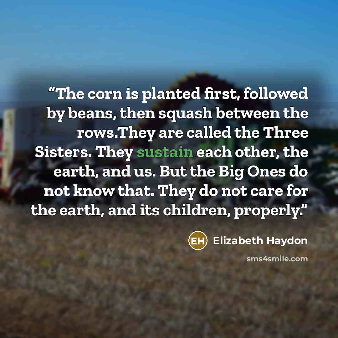 “The corn is planted first, followed by beans, then squash between the rows.They are called the Three Sisters. They sustain each other, the earth, and us. But the Big Ones do not know that. They do not care for the earth, and its children, properly.” quote by Elizabeth Haydon