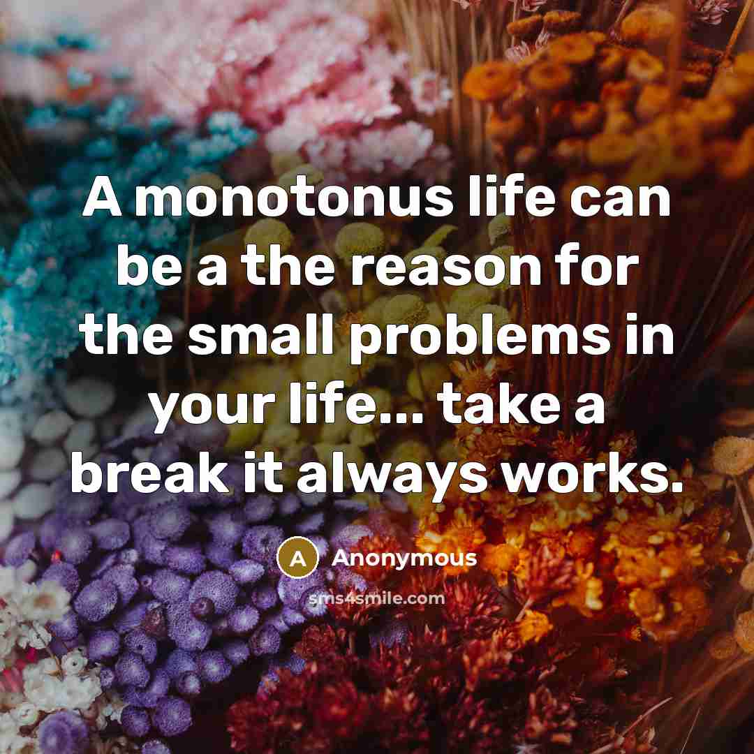 “A monotonus life can be a the reason for the small problems in your life... take a break it always works.” quote by Anonymous