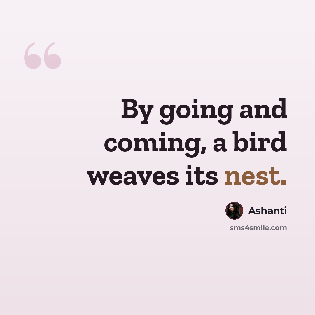 “By going and coming, a bird weaves its nest.” quote by Ashanti