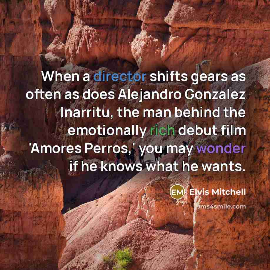 “When a director shifts gears as often as does Alejandro Gonzalez Inarritu, the man behind the emotionally rich debut film 'Amores Perros,' you may wonder if he knows what he wants.” quote by Elvis Mitchell