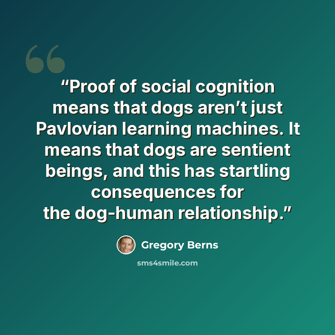 “Proof of social cognition means that dogs aren’t just Pavlovian learning machines. It means that dogs are sentient beings, and this has startling consequences for the dog-human relationship.” quote by Gregory Berns