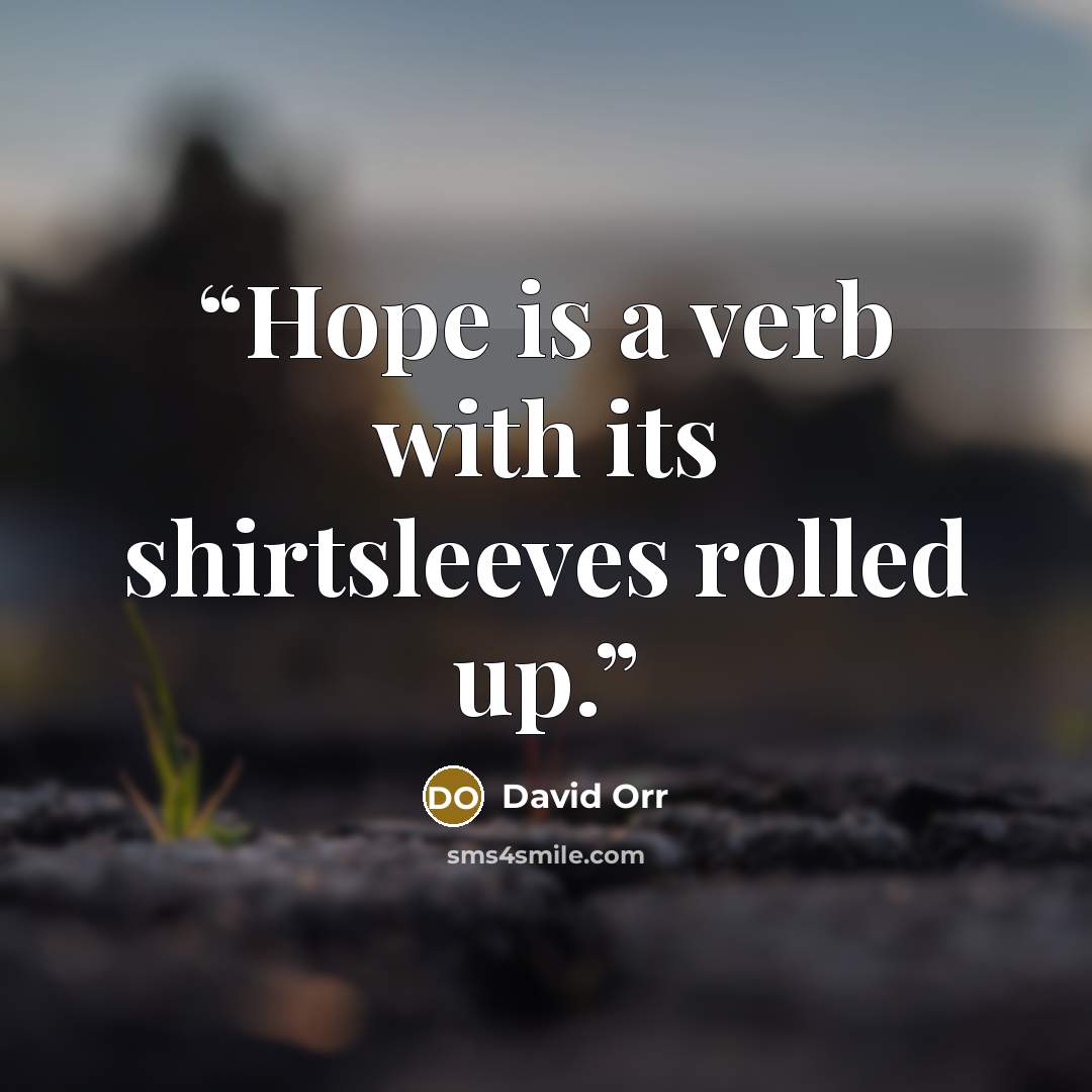 “Hope is a verb with its shirtsleeves rolled up.” quote by David Orr