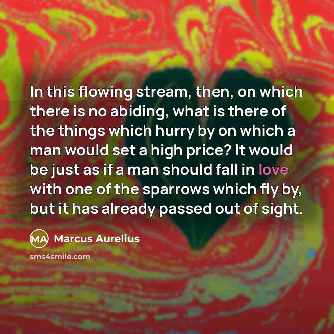 “In this flowing stream, then, on which there is no abiding, what is there of the things which hurry by on which a man would set a high price? It would be just as if a man should fall in love with one of the sparrows which fly by, but it has already passed out of sight.” quote by Marcus Aurelius
