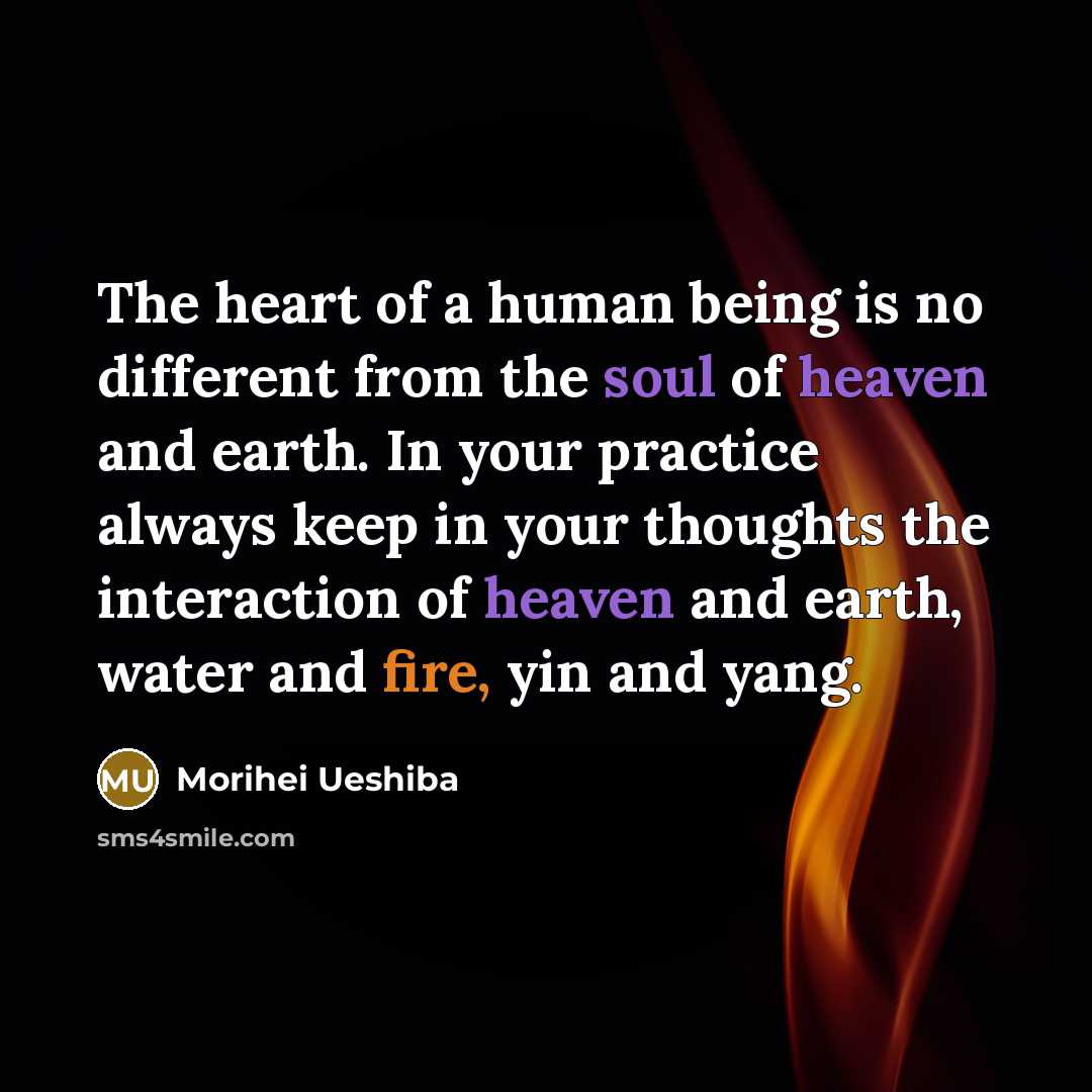 “The heart of a human being is no different from the soul of heaven and earth. In your practice always keep in your thoughts the interaction of heaven and earth, water and fire, yin and yang.” quote by Morihei Ueshiba