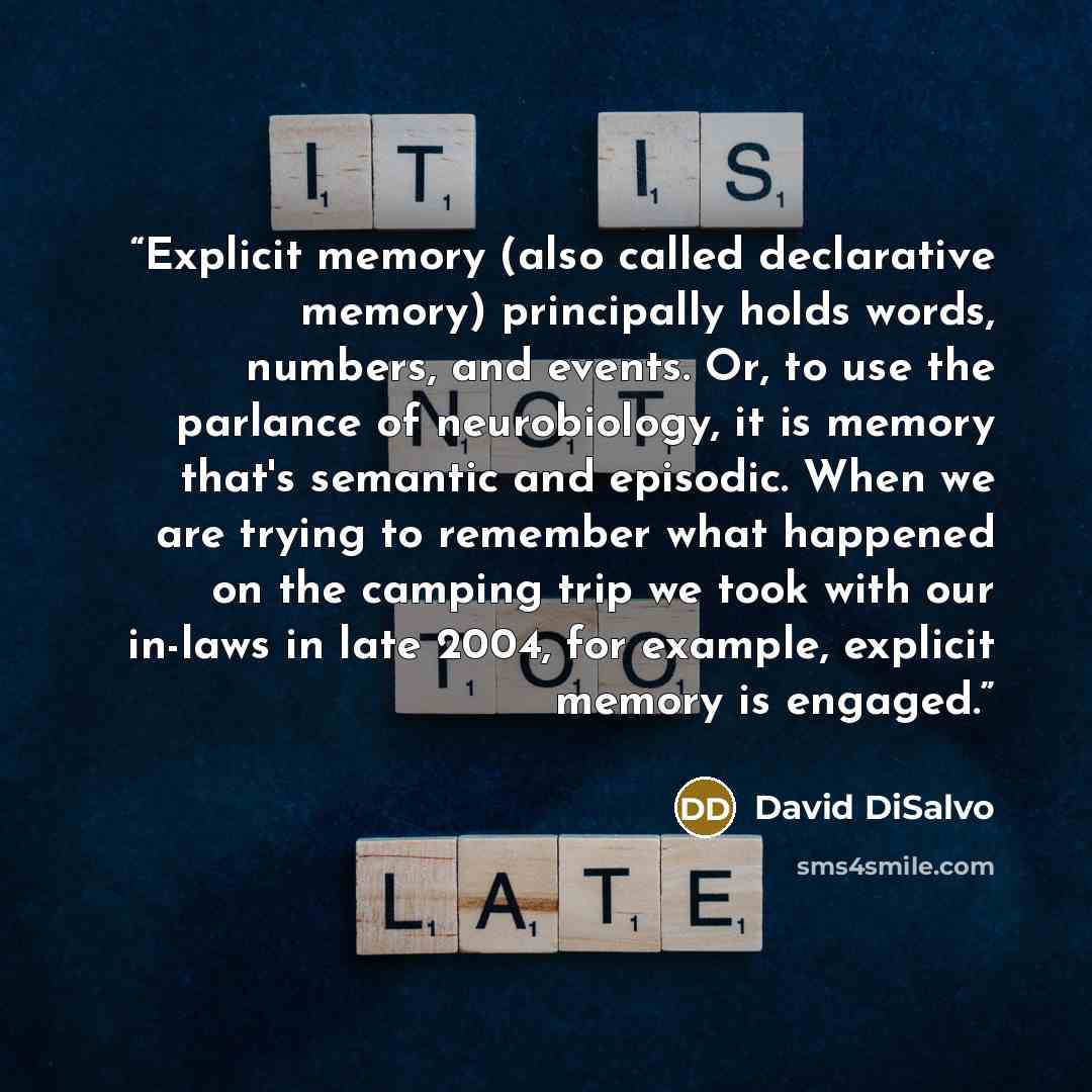 “Explicit memory (also called declarative memory) principally holds words, numbers, and events. Or, to use the parlance of neurobiology, it is memory that's semantic and episodic. When we are trying to remember what happened on the camping trip we took with our in-laws in late 2004, for example…” quote by David DiSalvo