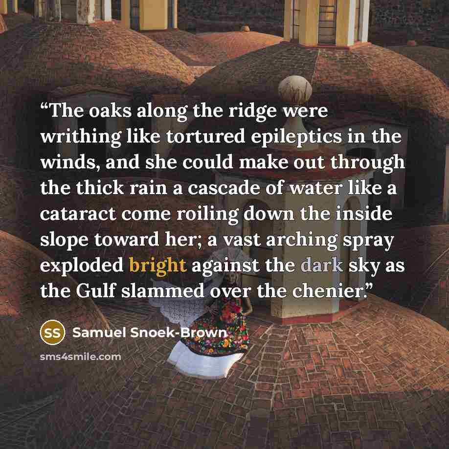 “The oaks along the ridge were writhing like tortured epileptics in the winds, and she could make out through the thick rain a cascade of water like a cataract come roiling down the inside slope toward her; a vast arching spray exploded bright against the dark sky as the Gulf slammed over the…” quote by Samuel Snoek-Brown