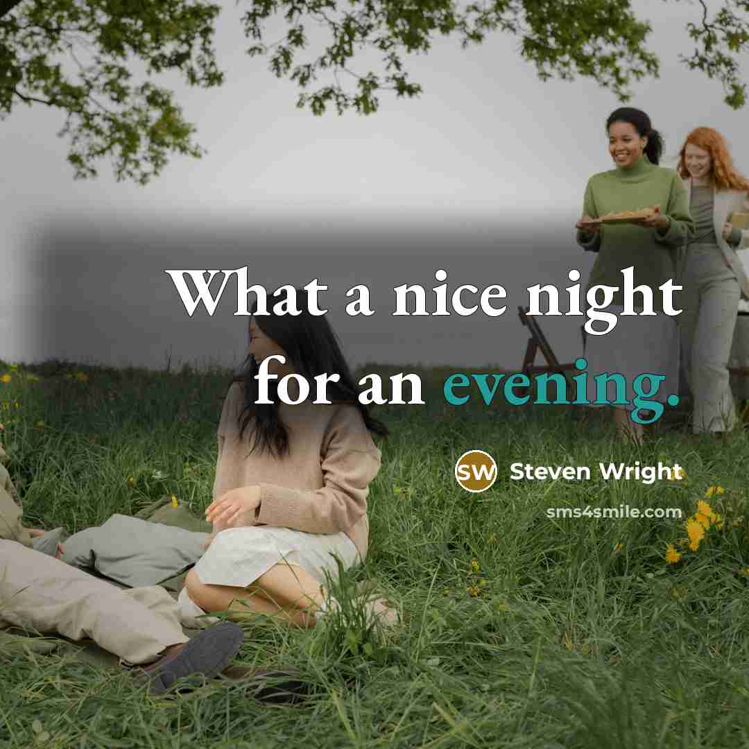 “What a nice night for an evening.” quote by Steven Wright