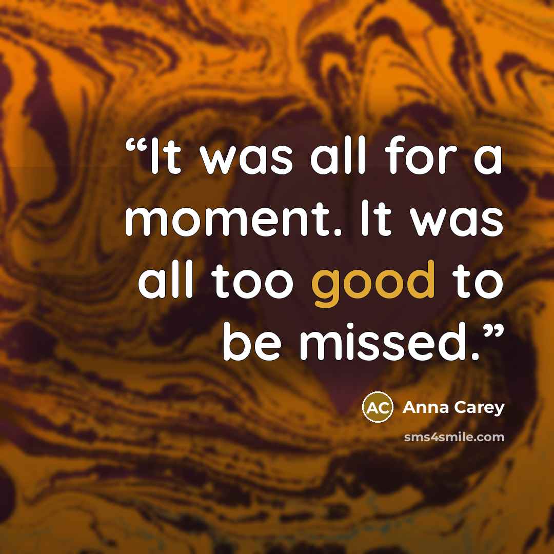 “It was all for a moment. It was all too good to be missed.” quote by Anna Carey