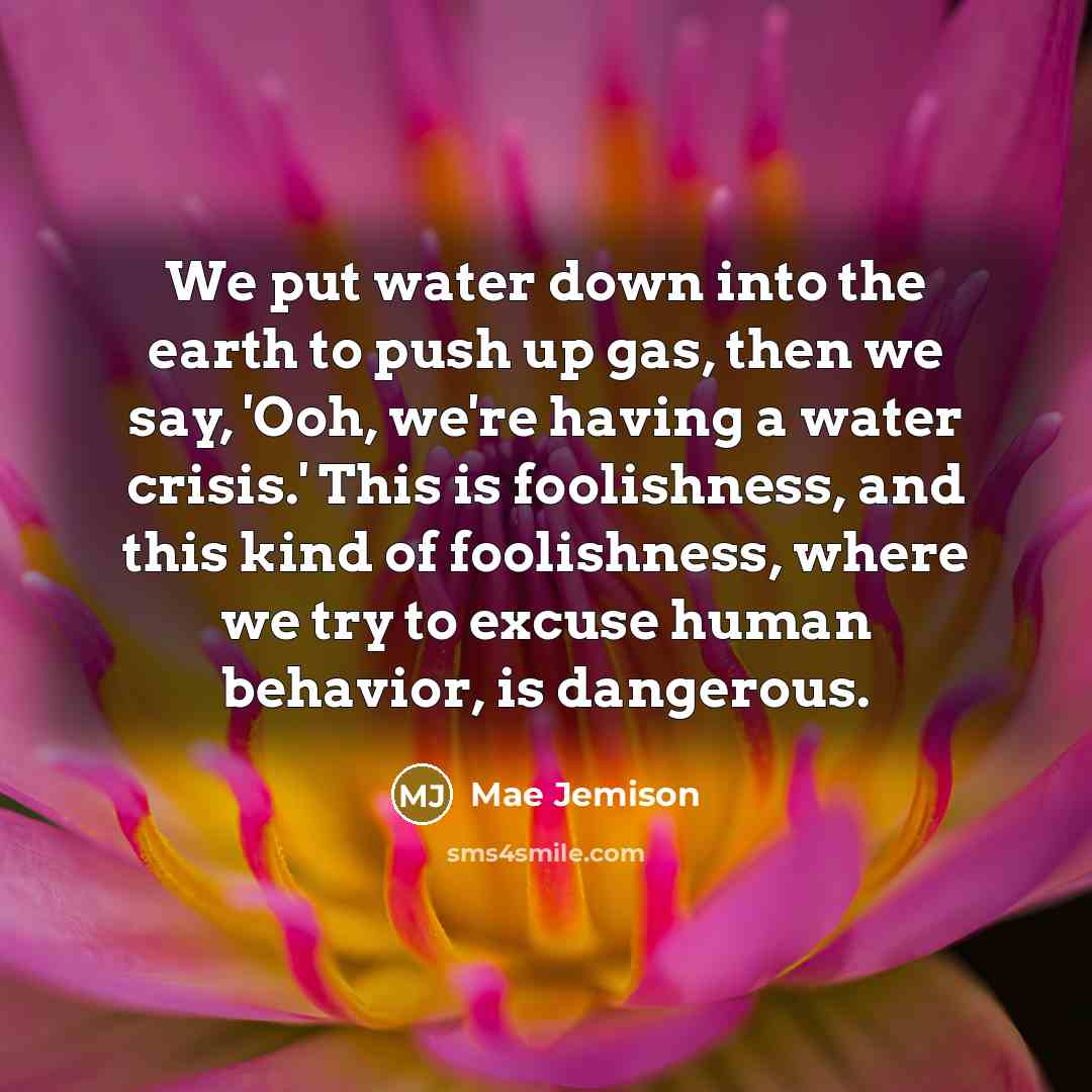 “We put water down into the earth to push up gas, then we say, 'Ooh, we're having a water crisis.' This is foolishness, and this kind of foolishness, where we try to excuse human behavior, is dangerous.” quote by Mae Jemison