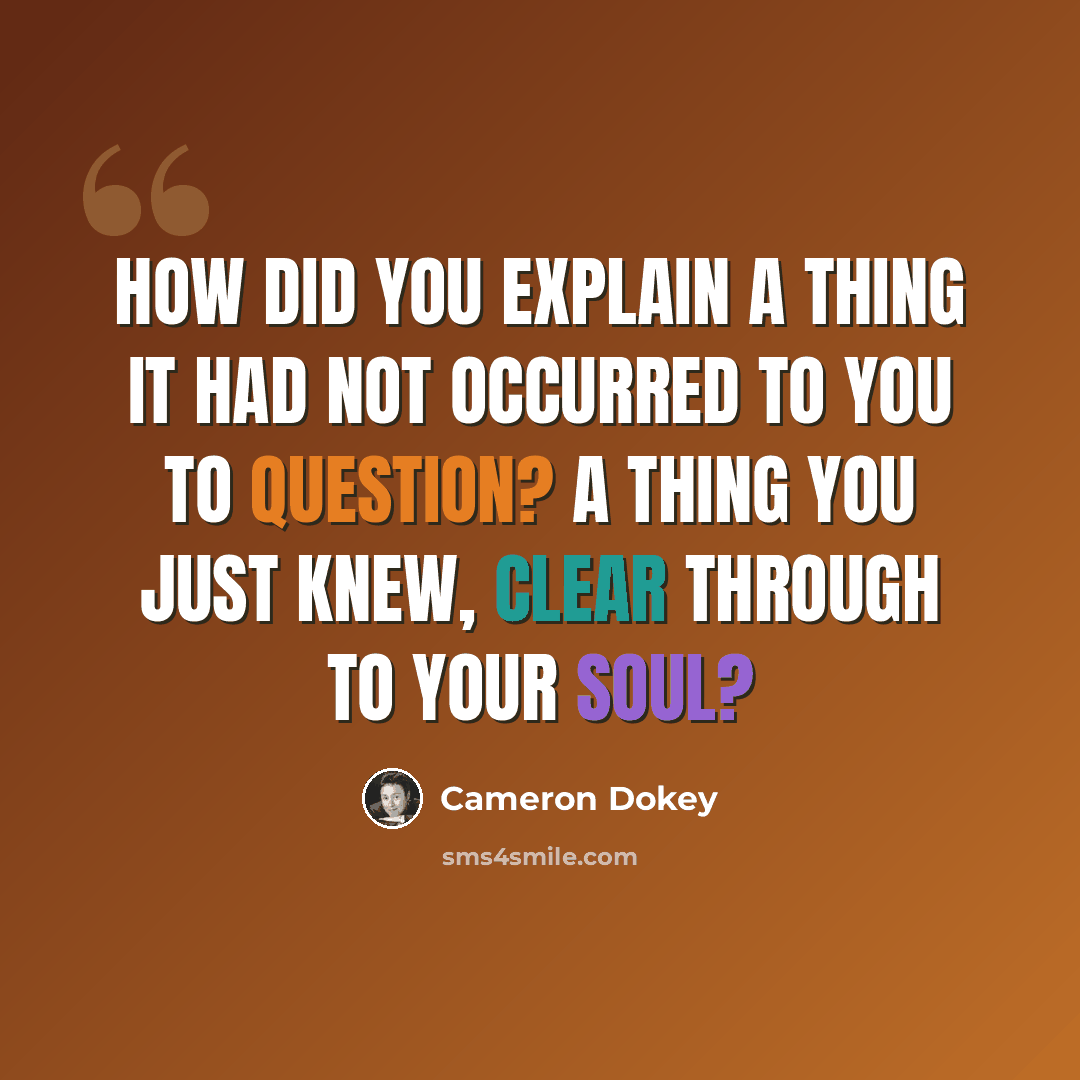 “How did you explain a thing it had not occurred to you to question? A thing you just knew, clear through to your soul?” quote by Cameron Dokey