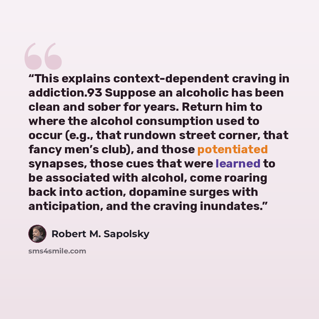 “This explains context-dependent craving in addiction.93 Suppose an alcoholic has been clean and sober for years. Return him to where the alcohol consumption used to occur (e.g., that rundown street corner, that fancy men’s club), and those potentiated synapses, those cues that were learned to be…” quote by Robert M. Sapolsky