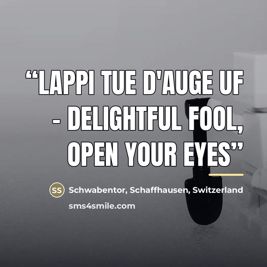 “Lappi tue d'Auge uf - Delightful fool, open your eyes” quote by Schaffhausen Schwabentor Switzerland
