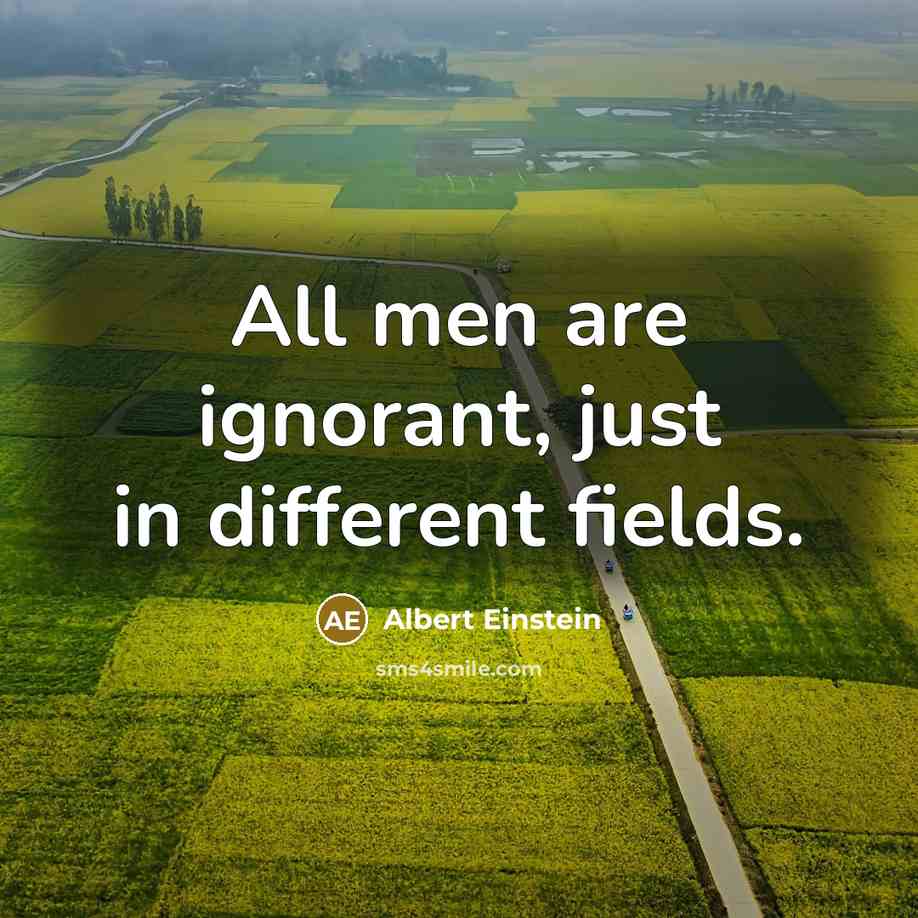 “All men are ignorant, just in different fields.” quote by Albert Einstein
