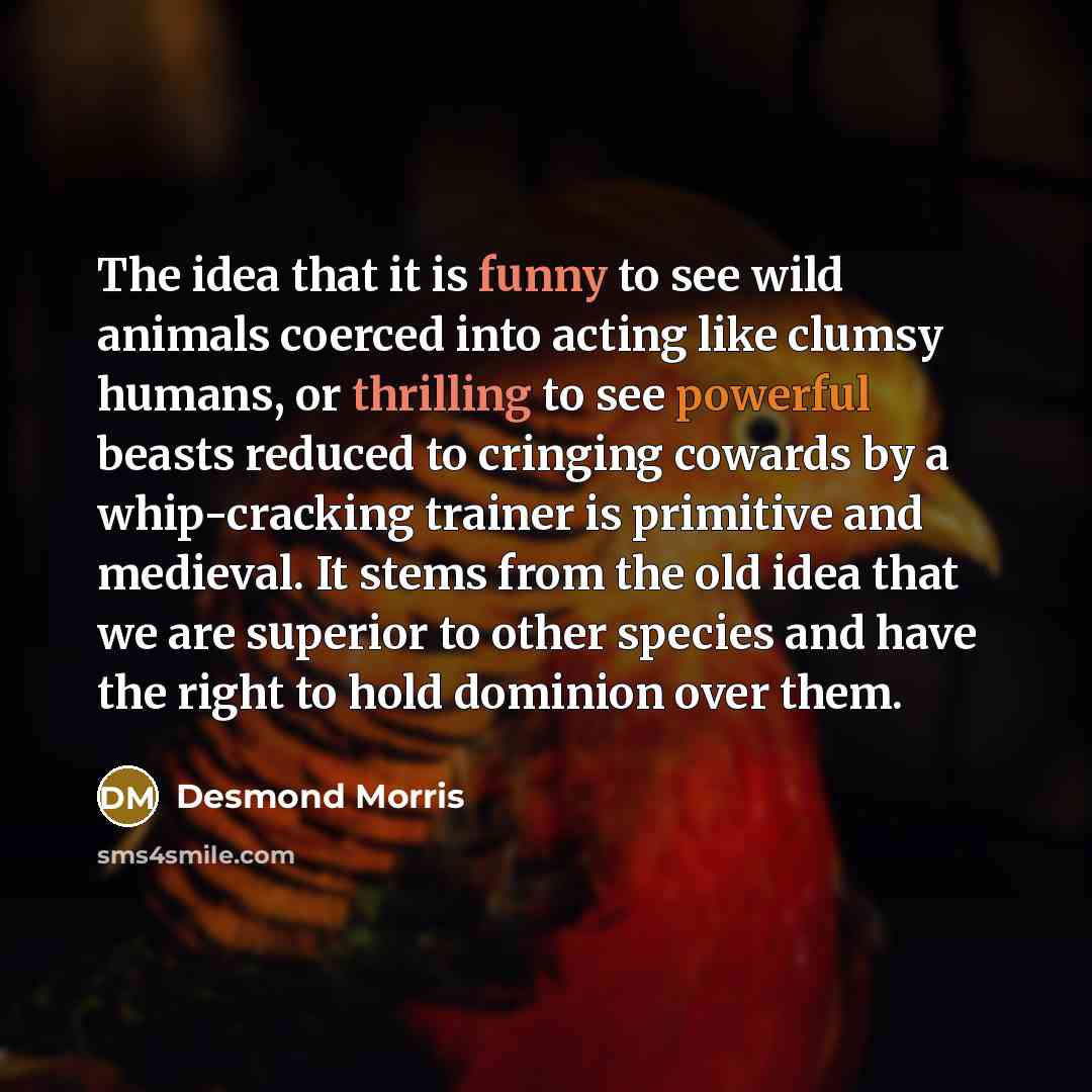 “The idea that it is funny to see wild animals coerced into acting like clumsy humans, or thrilling to see powerful beasts reduced to cringing cowards by a whip-cracking trainer is primitive and medieval. It stems from the old idea that we are superior to other species and have the right to hold…” quote by Desmond Morris