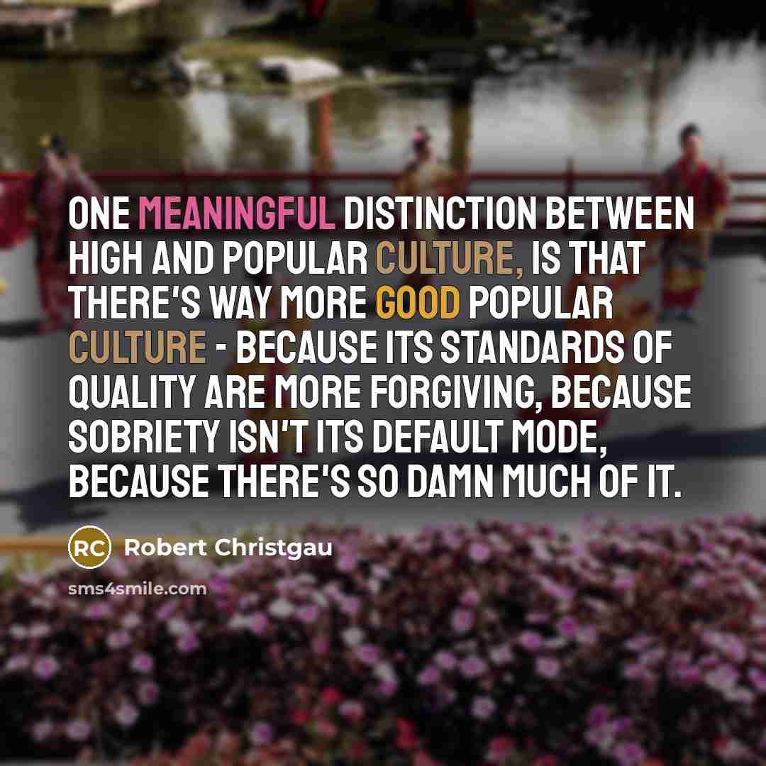 “One meaningful distinction between high and popular culture, is that there's way more good popular culture - because its standards of quality are more forgiving, because sobriety isn't its default mode, because there's so damn much of it.” quote by Robert Christgau