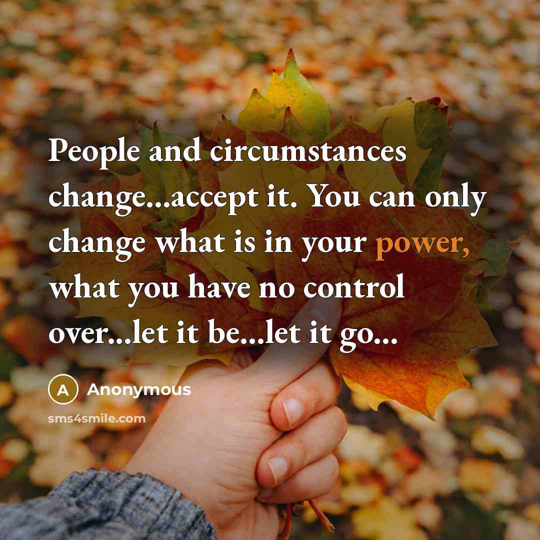 “People and circumstances change...accept it. You can only change what is in your power, what you have no control over...let it be...let it go...” quote by Anonymous