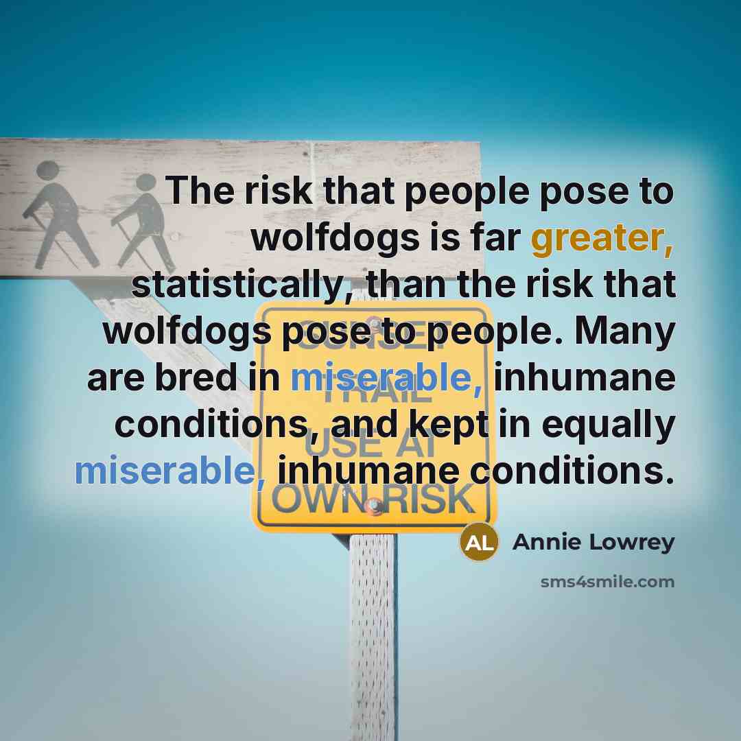 “The risk that people pose to wolfdogs is far greater, statistically, than the risk that wolfdogs pose to people. Many are bred in miserable, inhumane conditions, and kept in equally miserable, inhumane conditions.” quote by Annie Lowrey