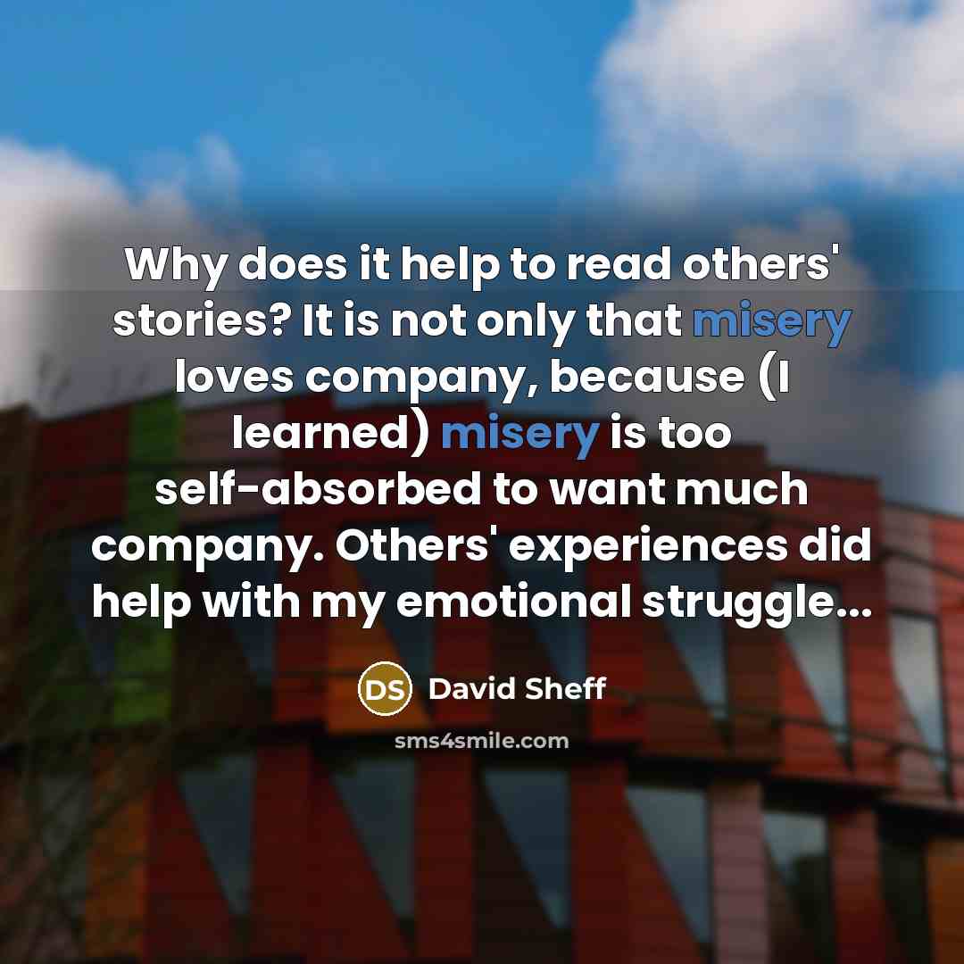 “Why does it help to read others' stories? It is not only that misery loves company, because (I learned) misery is too self-absorbed to want much company. Others' experiences did help with my emotional struggle...” quote by David Sheff