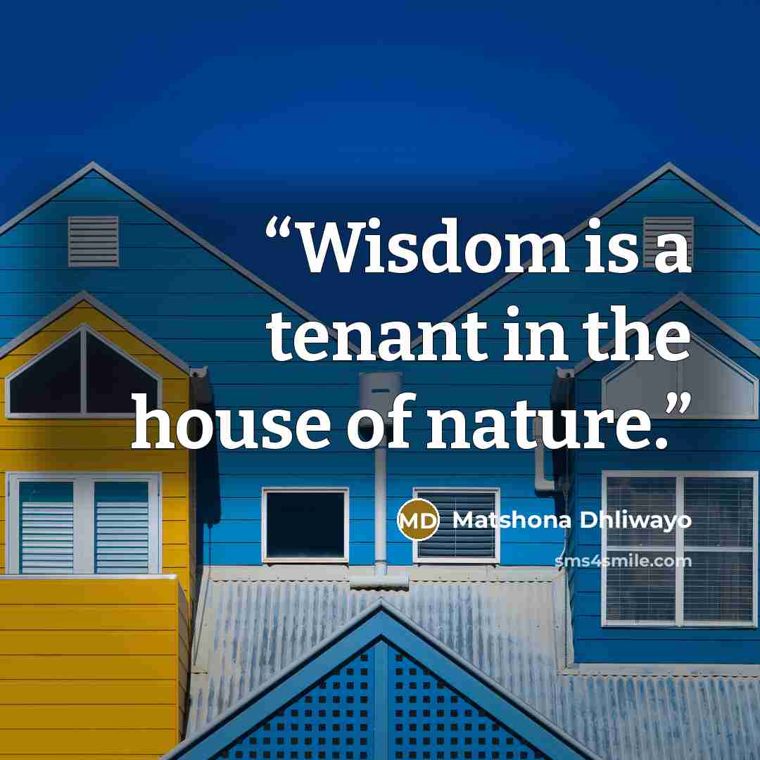 “Wisdom is a tenant in the house of nature.” quote by Matshona Dhliwayo