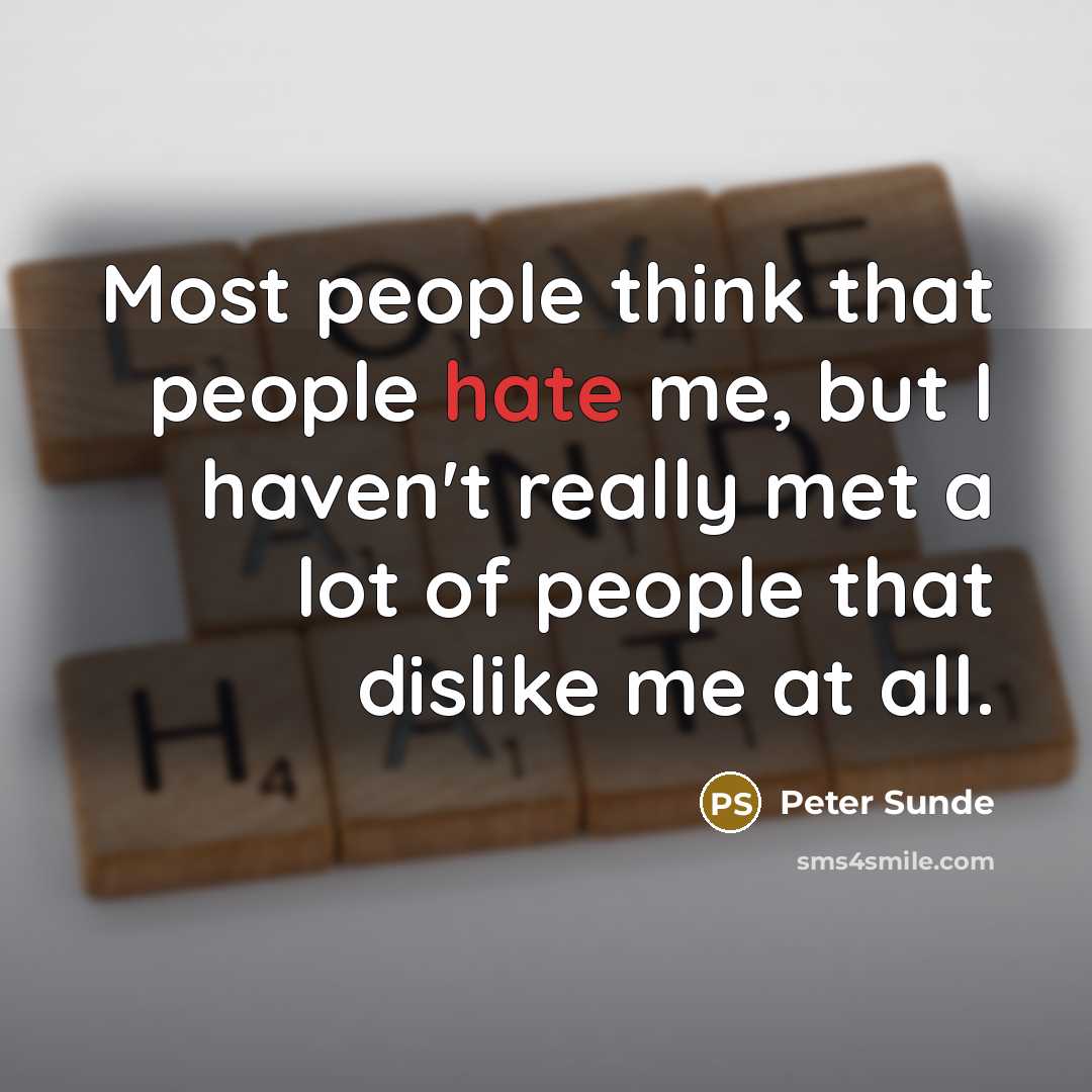 “Most people think that people hate me, but I haven't really met a lot of people that dislike me at all.” quote by Peter Sunde