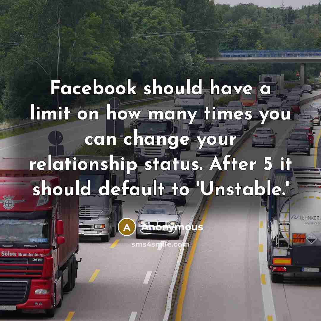 “Facebook should have a limit on how many times you can change your relationship status. After 5 it should default to 'Unstable.'” quote by Anonymous