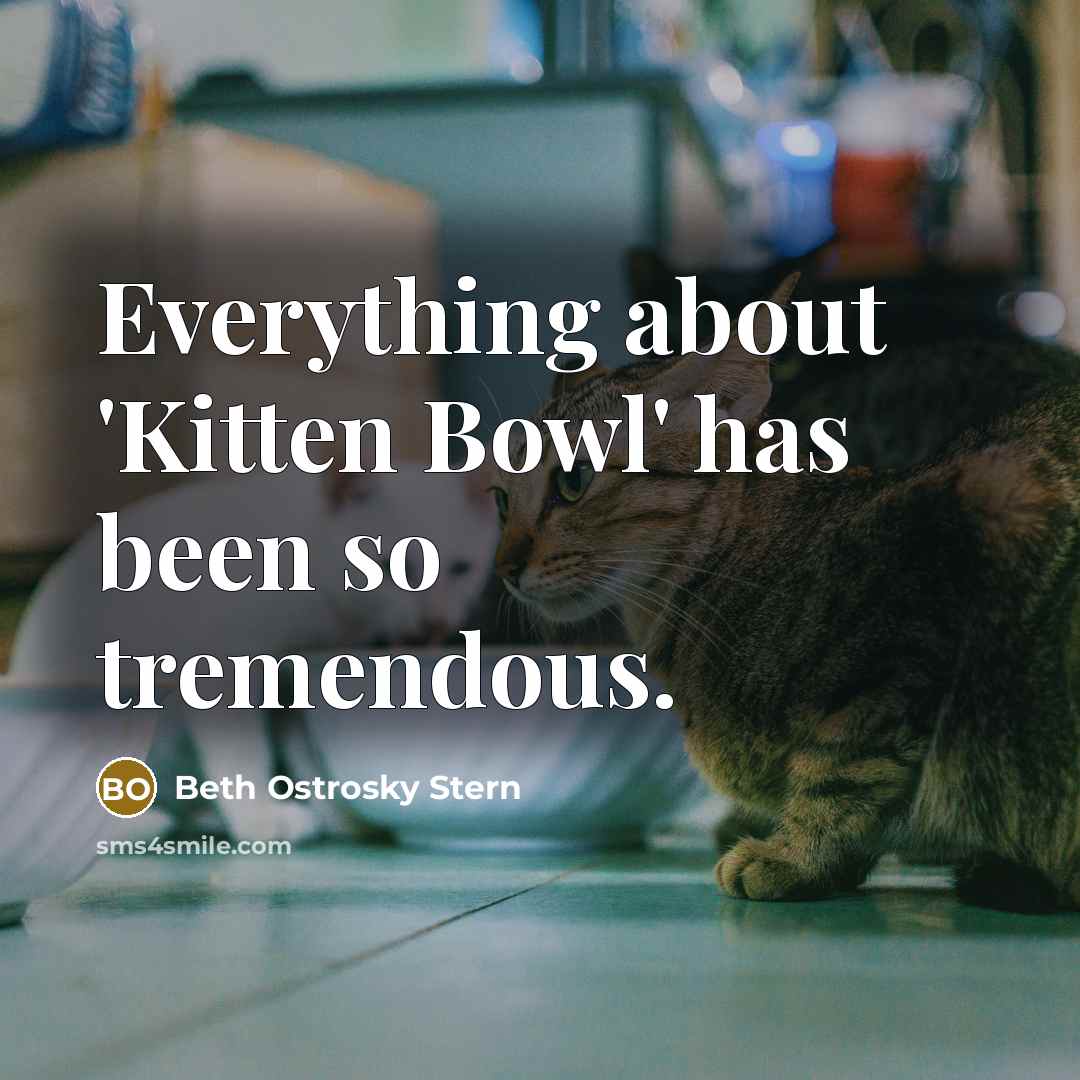 “Everything about 'Kitten Bowl' has been so tremendous.” quote by Beth Ostrosky Stern