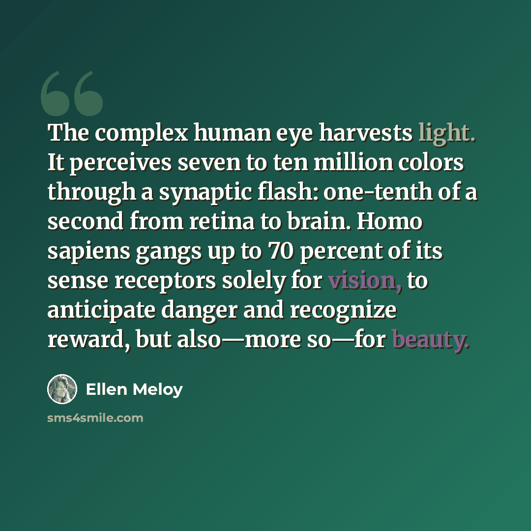 “The complex human eye harvests light. It perceives seven to ten million colors through a synaptic flash: one-tenth of a second from retina to brain. Homo sapiens gangs up to 70 percent of its sense receptors solely for vision, to anticipate danger and recognize reward, but also—more so—for beauty.” quote by Ellen Meloy