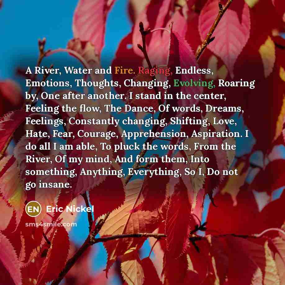 “A River, Water and Fire. Raging, Endless, Emotions, Thoughts, Changing, Evolving, Roaring by, One after another. I stand in the center, Feeling the flow, The Dance, Of words, Dreams, Feelings, Constantly changing, Shifting, Love, Hate, Fear, Courage, Apprehension, Aspiration. I do all I am able…” quote by Eric Nickel