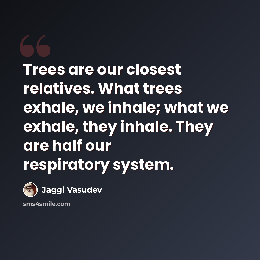 “Trees are our closest relatives. What trees exhale, we inhale; what we exhale, they inhale. They are half our respiratory system.” quote by Jaggi Vasudev