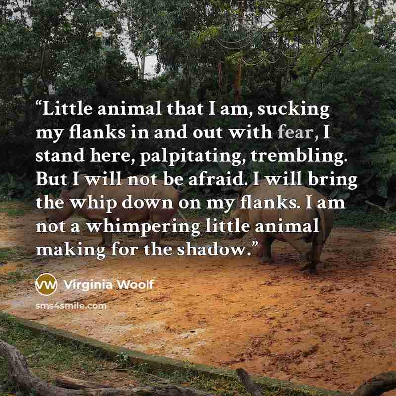 “Little animal that I am, sucking my flanks in and out with fear, I stand here, palpitating, trembling. But I will not be afraid. I will bring the whip down on my flanks. I am not a whimpering little animal making for the shadow.” quote by Virginia Woolf