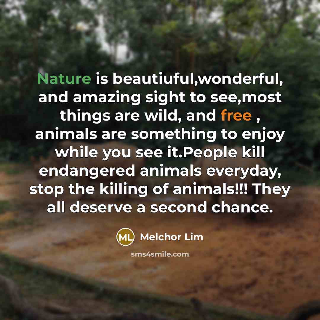 “Nature is beautiuful,wonderful, and amazing sight to see,most things are wild, and free , animals are something to enjoy while you see it.People kill endangered animals everyday, stop the killing of animals!!! They all deserve a second chance.” quote by Melchor Lim