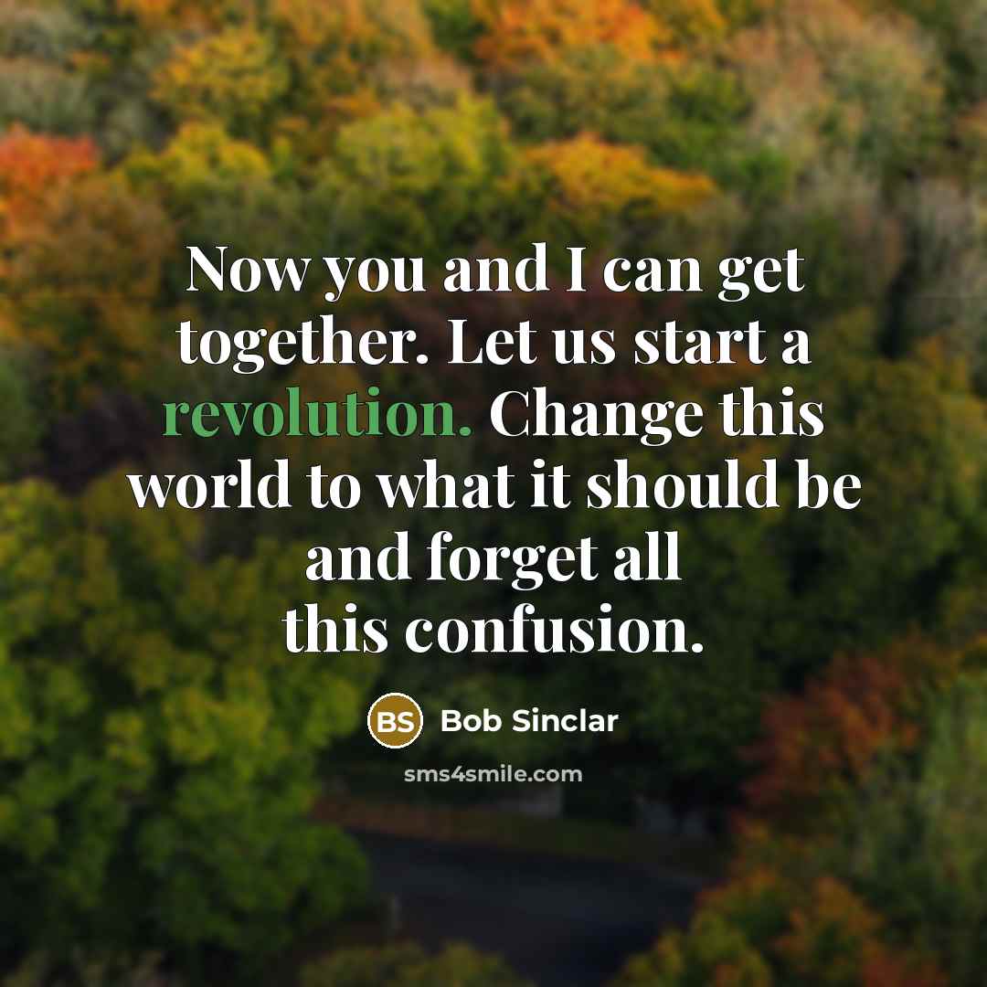 “Now you and I can get together. Let us start a revolution. Change this world to what it should be and forget all this confusion.” quote by Bob Sinclar