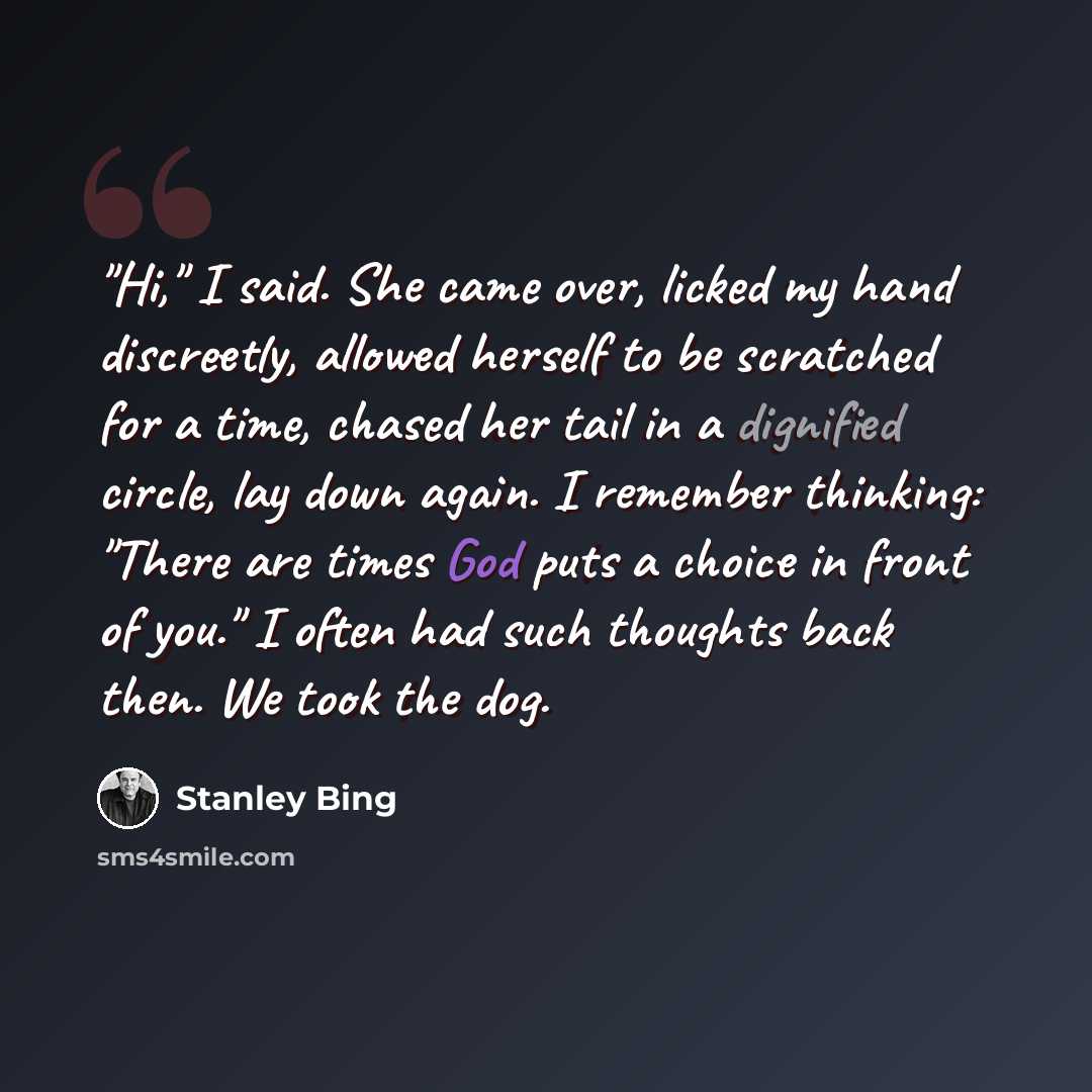 “"Hi," I said. She came over, licked my hand discreetly, allowed herself to be scratched for a time, chased her tail in a dignified circle, lay down again. I remember thinking: "There are times God puts a choice in front of you." I often had such thoughts back then. We took the dog.” quote by Stanley Bing