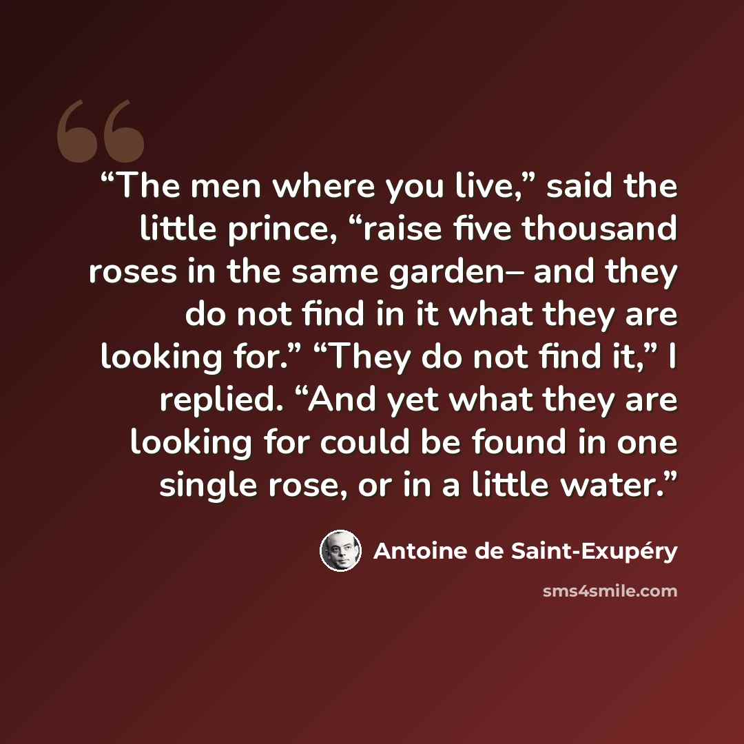 “The men where you live,” said the little prince, “raise five thousand roses in the same garden– and they do not find in it what they are looking for.” “They do not find it,” I replied. “And yet what they are looking for could be found in one single rose, or in a little water.” quote by Antoine de Saint-Exupéry