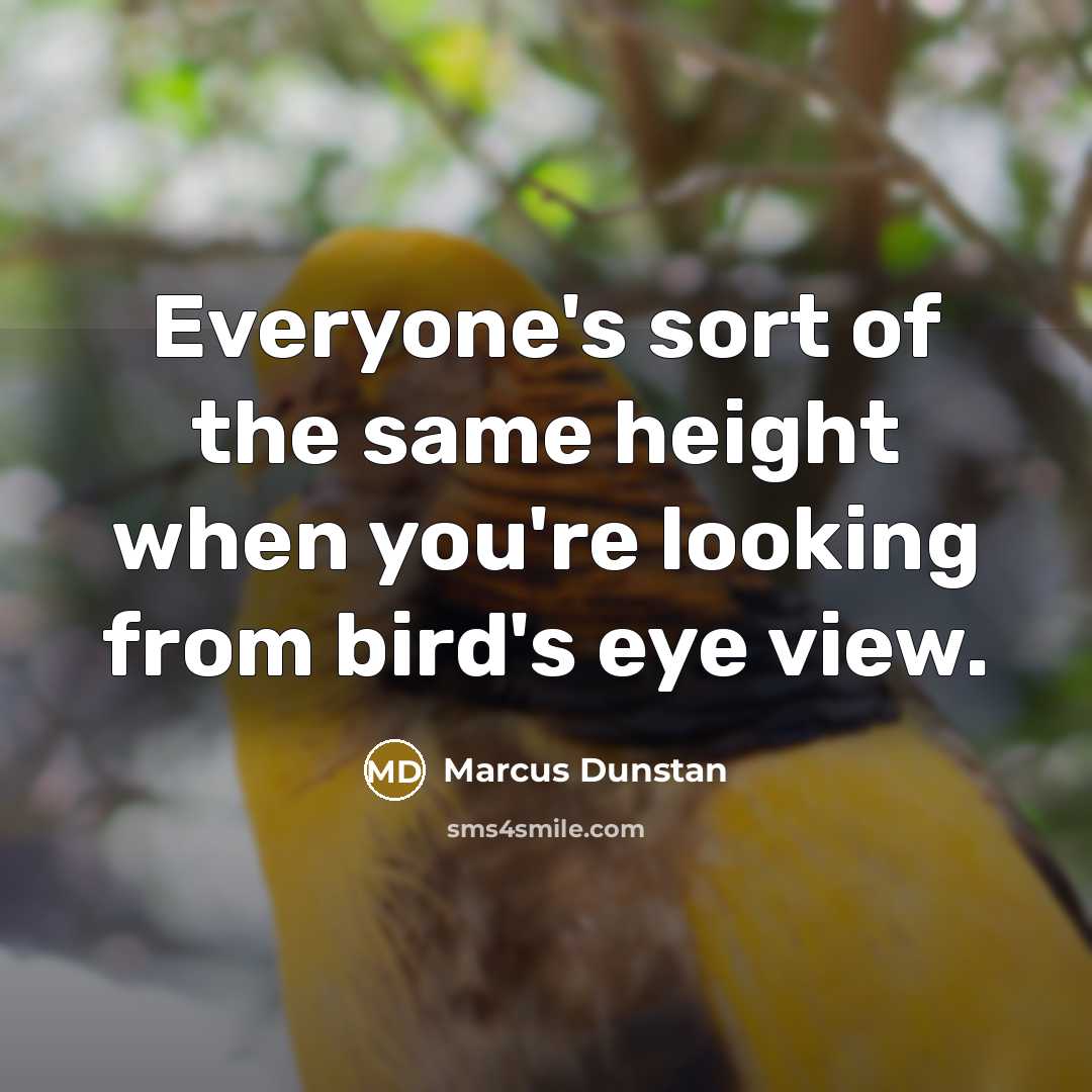 “Everyone's sort of the same height when you're looking from bird's eye view.” quote by Marcus Dunstan