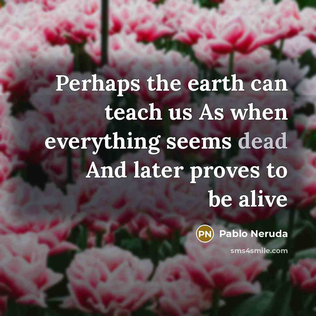 “Perhaps the earth can teach us As when everything seems dead And later proves to be alive” quote by Pablo Neruda