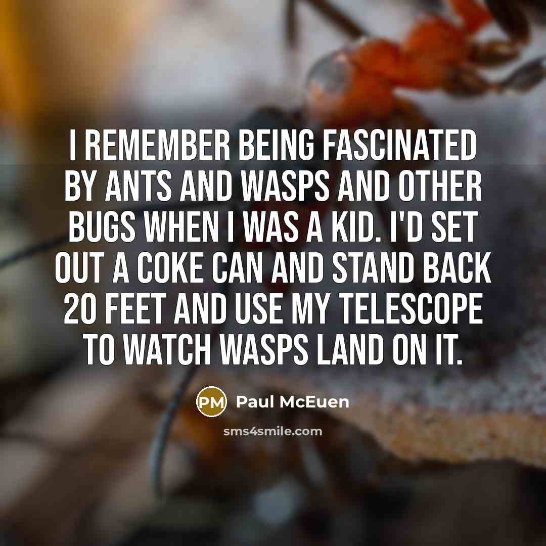 “I remember being fascinated by ants and wasps and other bugs when I was a kid. I'd set out a Coke can and stand back 20 feet and use my telescope to watch wasps land on it.” quote by Paul McEuen