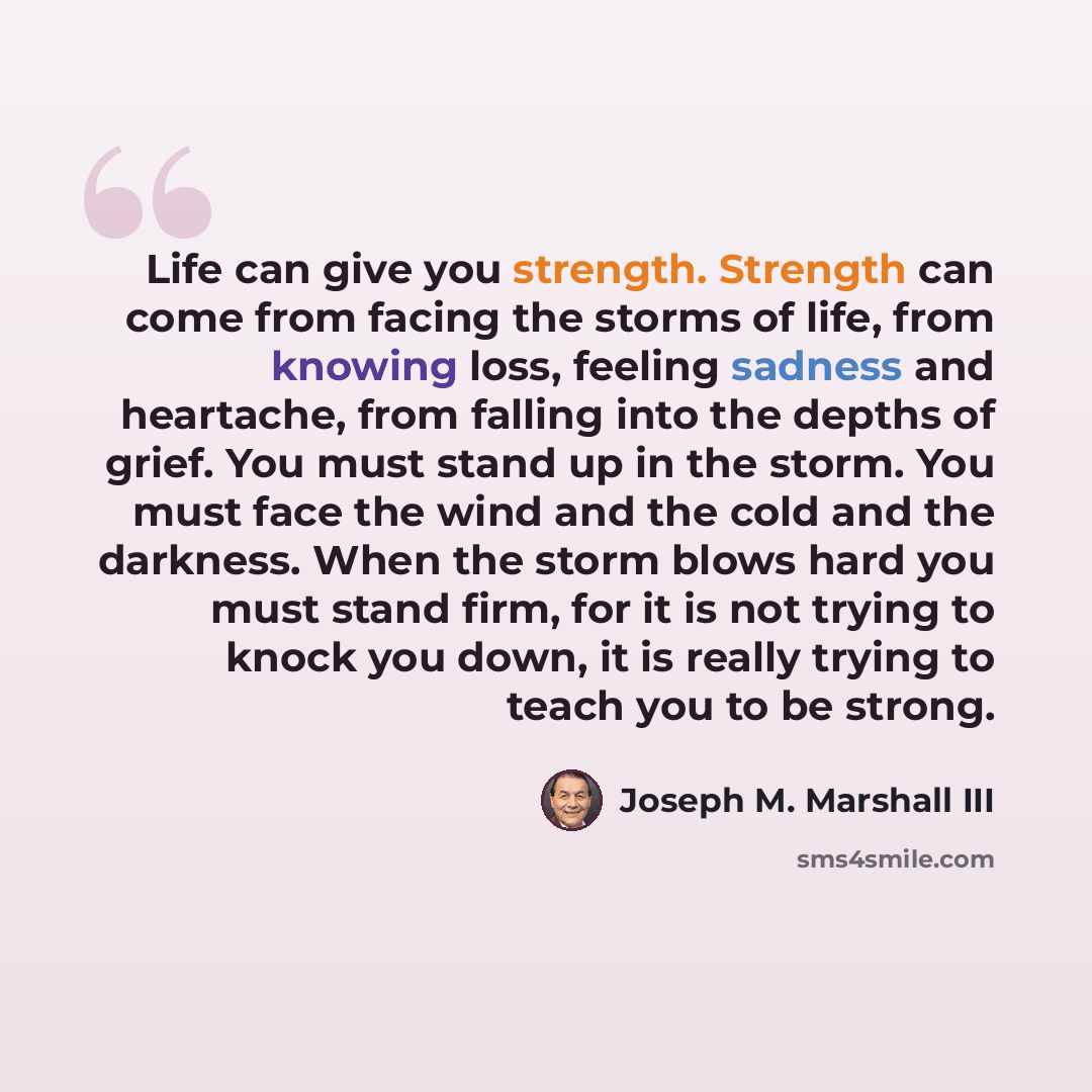 “Life can give you strength. Strength can come from facing the storms of life, from knowing loss, feeling sadness and heartache, from falling into the depths of grief. You must stand up in the storm. You must face the wind and the cold and the darkness. When the storm blows hard you must stand…” quote by Joseph M. Marshall III