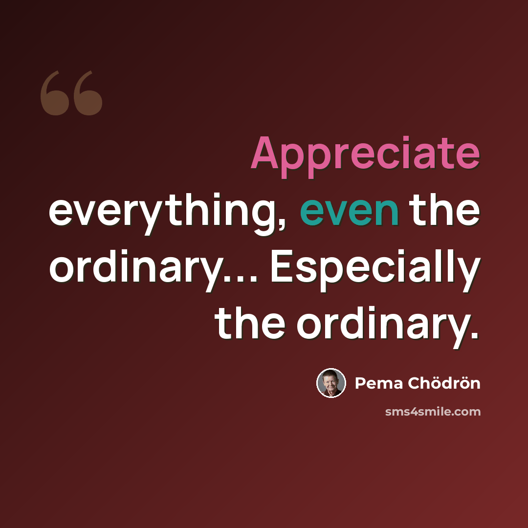 “Appreciate everything, even the ordinary... Especially the ordinary.” quote by Pema Chodron